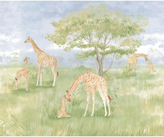 Cute Walls - Giraffes 212x280cm
