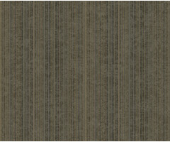 Level Two- Strand zwart