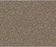 Level Two- Agave bruin