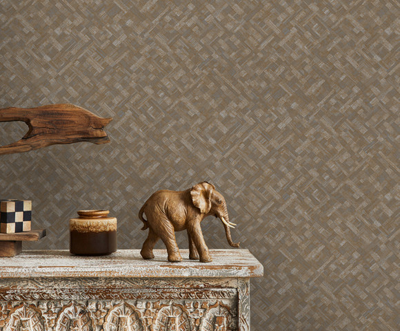 Level Two- Agave bruin