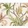 Journey to the East - Saranda Sage/Coral