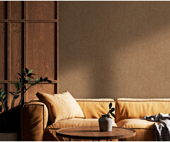 Sahara - Tenere Terracotta