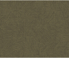 Sahara - Tenere Olive