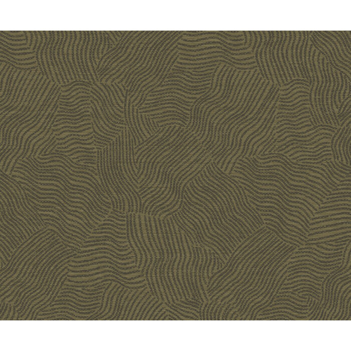 Sahara - Tenere Olive