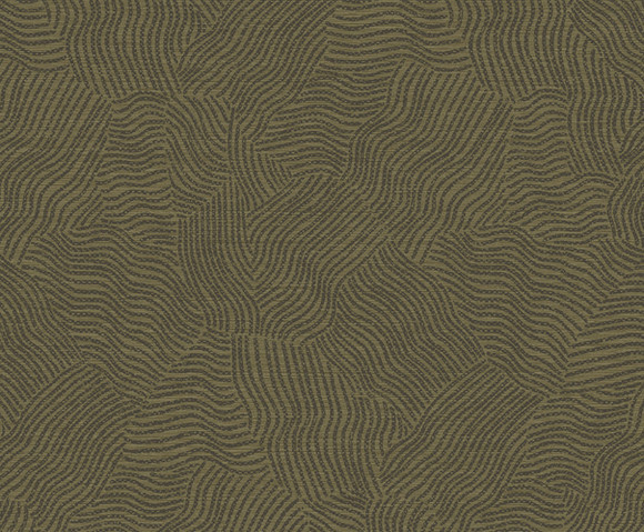 Sahara - Tenere Olive