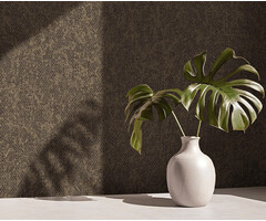 Sahara - Sinamay Noir Gold