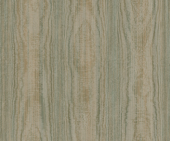 Sahara - Sahel Olive Rust