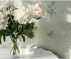 Sommarang - Rosmarie soft pink