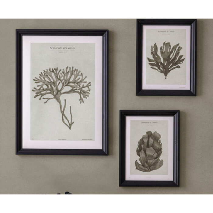 Meala - Aimsir grijs 130cm br.