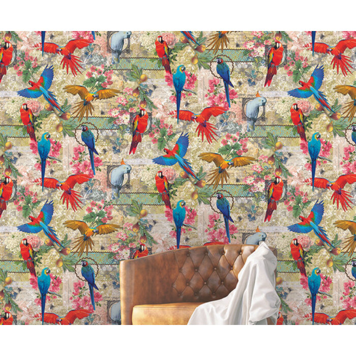 Color Choc - Parroty 200x300cm