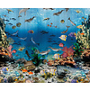 Sofie & Junar - Aquarium 300x280cm