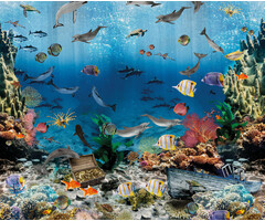 Sofie & Junar - Aquarium 300x280cm