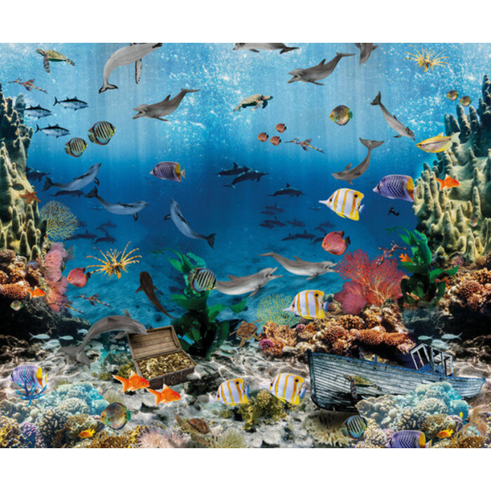 Sofie & Junar - Aquarium 300x280cm