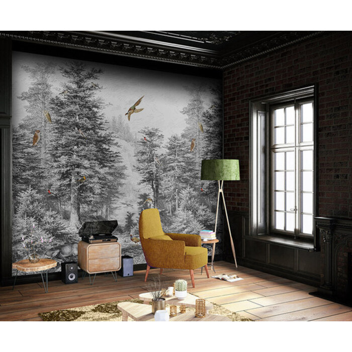 Light & Dark - INK7321 200x280cm