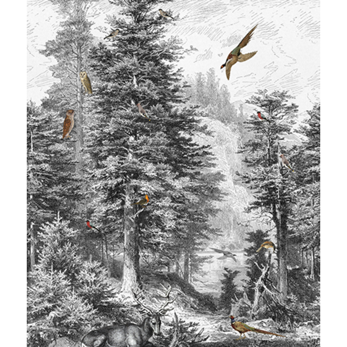 Light & Dark - INK7321 200x280cm