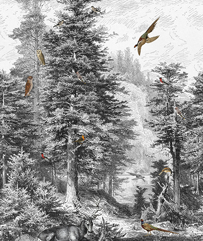 Light & Dark - INK7321 200x280cm