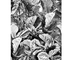 Light & Dark - INK7345 200x280cm