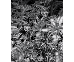 Light & Dark - INK7347 200x280cm