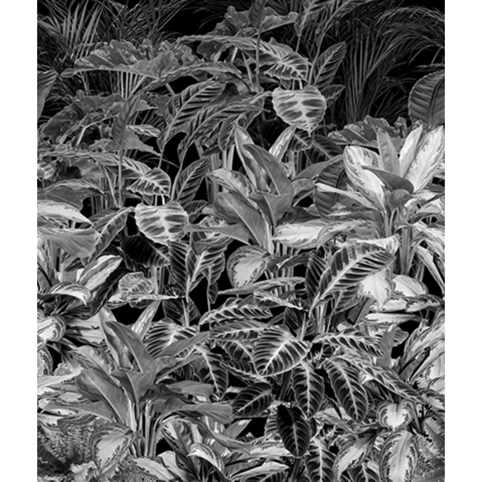 Light & Dark - INK7347 200x280cm