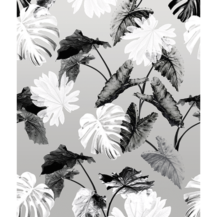 Light & Dark - INK7352 200x280cm