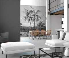 Light & Dark - INK7355 200x280cm