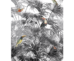 Light & Dark - INK7356 200x280cm