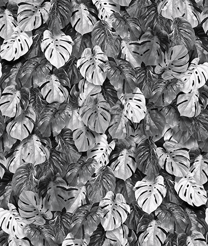 Light & Dark - INK7359 200x280cm