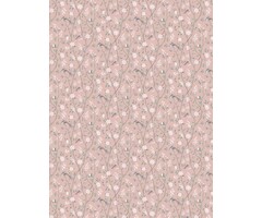 1901 – Paradise Birds