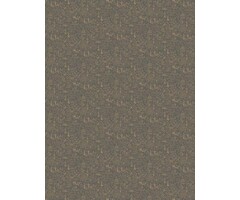 4272 – Oriental Garden