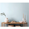 Simply Stripes - Candy Stripe Baby Blue