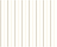 Simply Stripes - Thread Stripe Linen