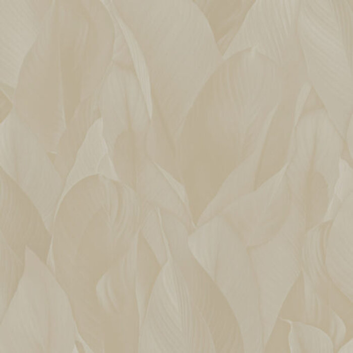 Architexture 2; design Z57704