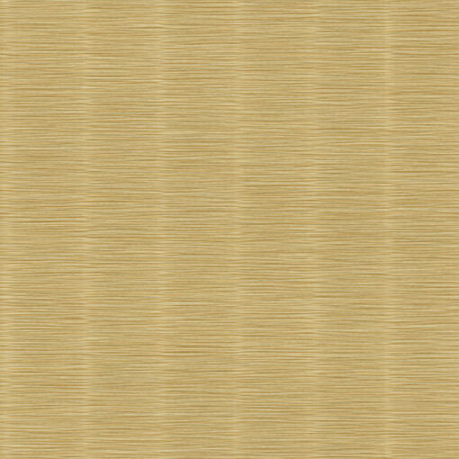 Architexture 2; design Z57717