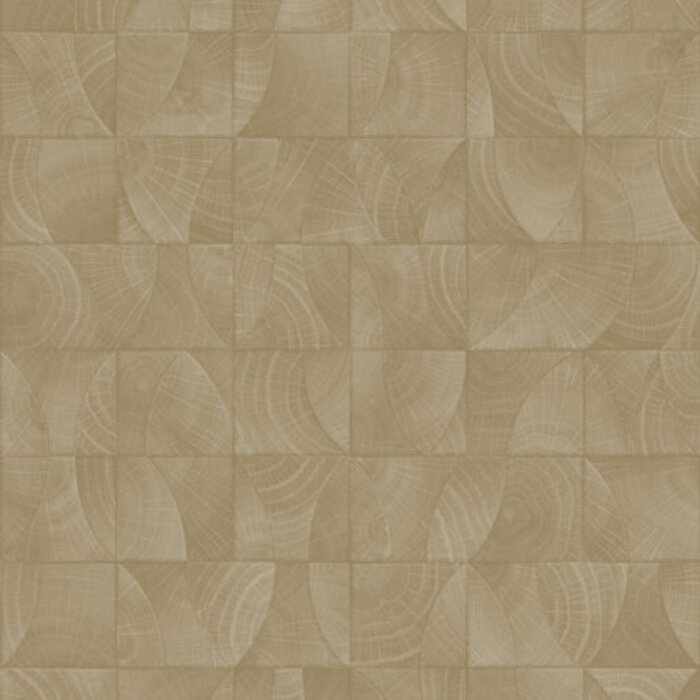 Architexture 2; design Z57734