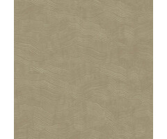 Architexture 2; design Z57743