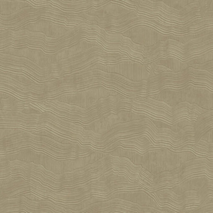 Architexture 2; design Z57743