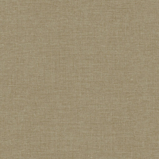 Architexture 2; design Z57757