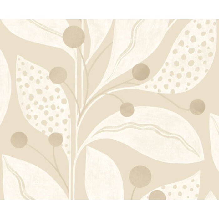 Laid Bare - Hummingbird Oyster