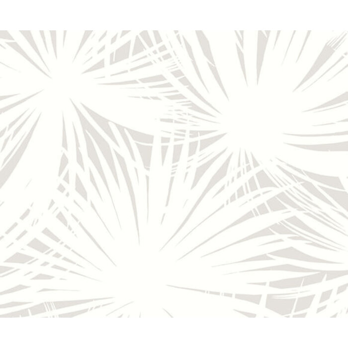 Laid Bare - Palm Silhouette Cloud