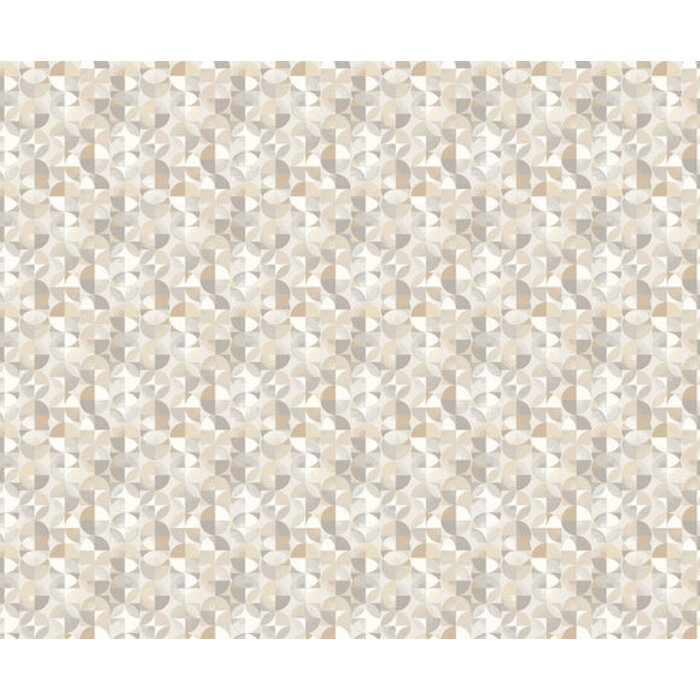 Laid Bare - Orb Fossil