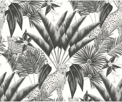 Laid Bare - Jungle Cheetah Raven