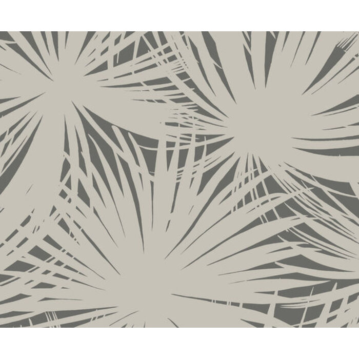 Laid Bare - Palm Silhouette Shadow