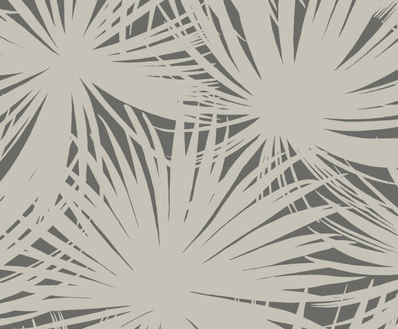 Laid Bare - Palm Silhouette Shadow