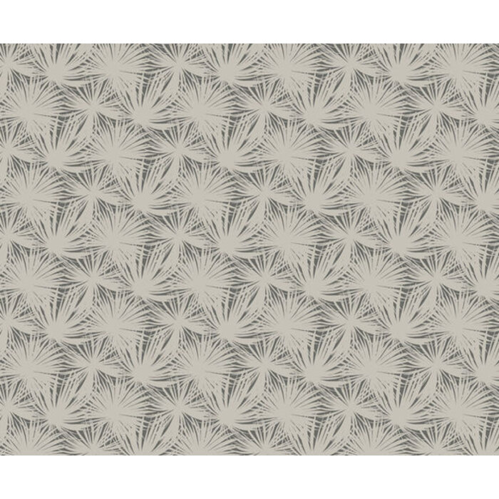 Laid Bare - Palm Silhouette Shadow