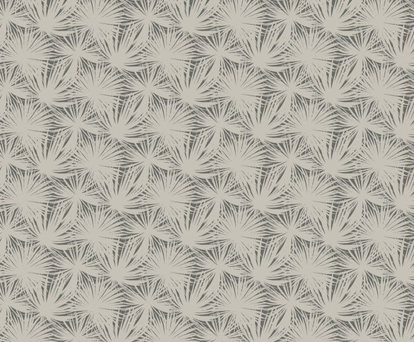 Laid Bare - Palm Silhouette Shadow