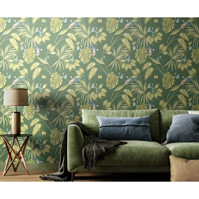 Laid Bare - Hummingbird Forest