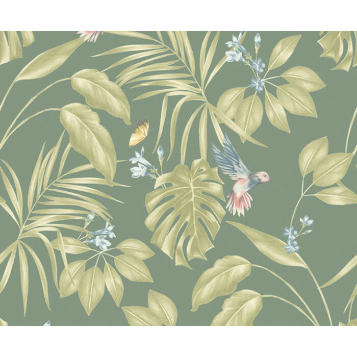 Laid Bare - Hummingbird Forest