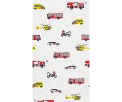 Abby & Bryan - To the rescue! 100x280cm