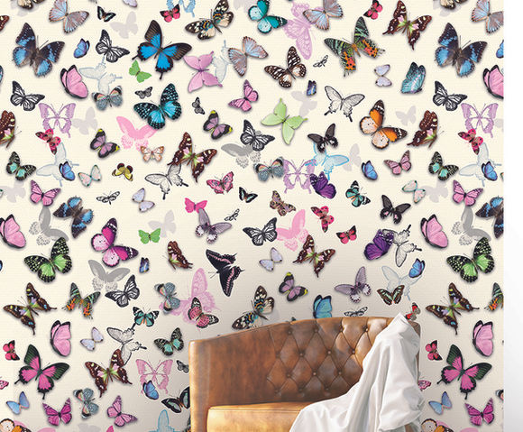 Color Choc - Butterflies 200x300cm