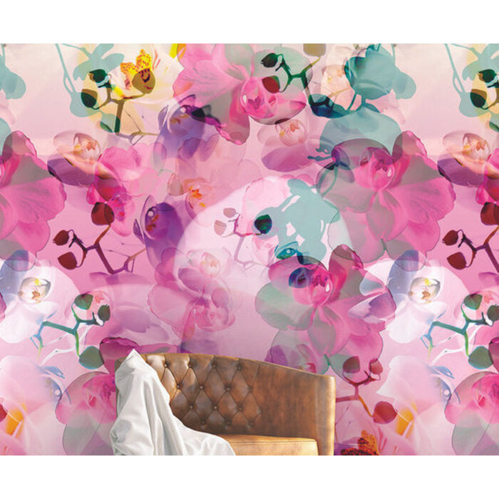 Color Choc - Orchids Soft 200x300cm